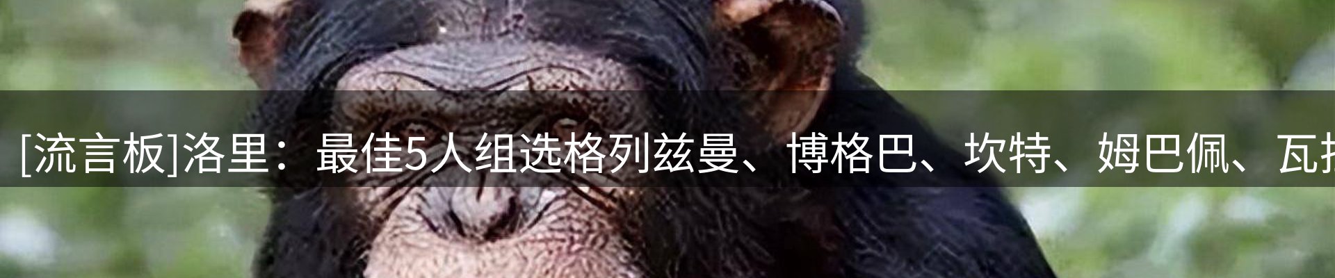 品牌资讯